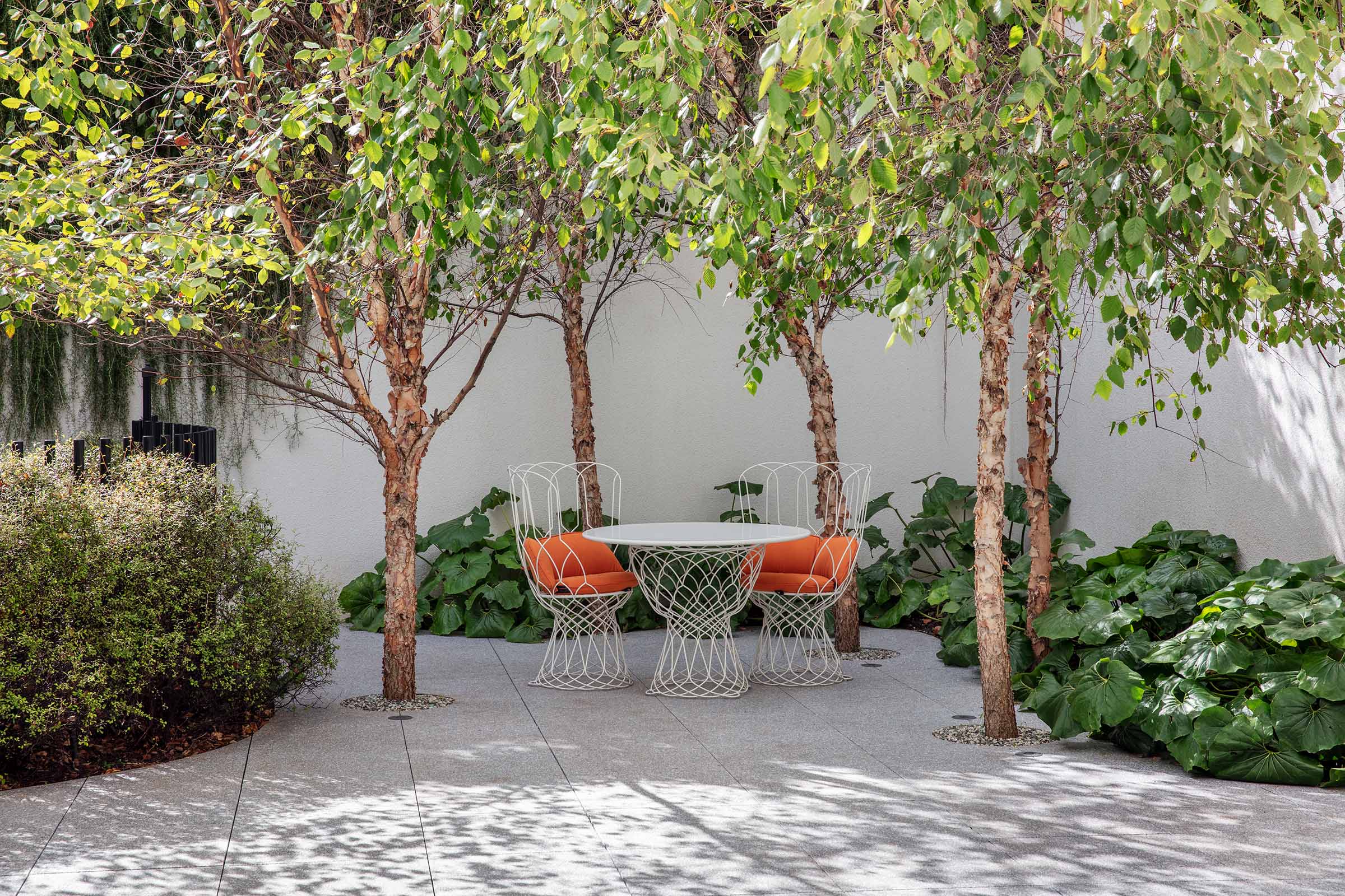 Murray Fredericks Baffsky 360 Landscape Tobias Residence Bondi